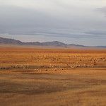 Transsibérien - Mongolie - Jour 2