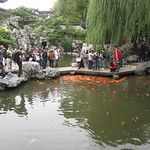 La vieille ville chinoise de Shanghai