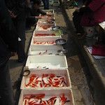 Le marché aux oiseaux de Xi’an