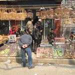 Le marché aux oiseaux de Xi’an