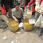 Le marché aux oiseaux de Xi’an