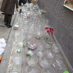 Le marché aux oiseaux de Xi’an