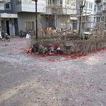 Le nouvel an chinois ou « j’ai survécu à Beyrouth »