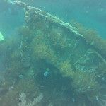 Le snorkeling à Amed