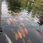 Les autres temples de Bali