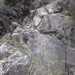 Trek de 2 jours dans les gorges du Saut du Tigre