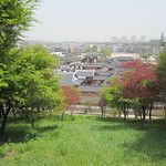 Les Gungs de Séoul - 2ème partie