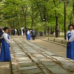 Les Gungs de Séoul - 2ème partie