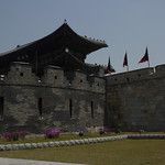 Les Gungs de Séoul - 2ème partie