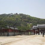 Les Gungs de Séoul - 2ème partie