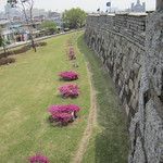 Les Gungs de Séoul - 2ème partie