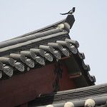 Les Gungs de Séoul - 2ème partie