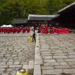 Les Gungs de Séoul - 2ème partie