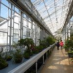 Les Gungs de Séoul - 1ère partie