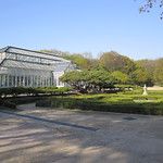 Les Gungs de Séoul - 1ère partie