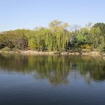 Les Gungs de Séoul - 1ère partie