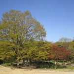 Les Gungs de Séoul - 1ère partie