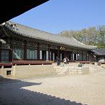 Les Gungs de Séoul - 1ère partie