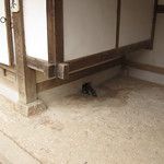 Les hanoks, ces maisons traditionnelles de Corée