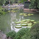 Les musées de Shanghai et l'expo sur les 25 ans de Pixar