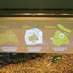 Les musées de Shanghai et l'expo sur les 25 ans de Pixar