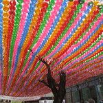 Les temples bouddhistes de Séoul