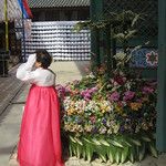 Les temples bouddhistes de Séoul