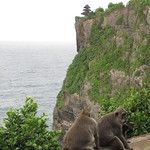 Les temples Tanah Lot, Ulu Watu & Ulun Danu