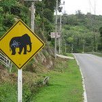 L'île de Phuket, un peu l'anti-thaïlande