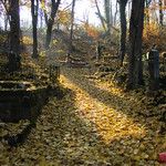 Ukraine - Lviv - Cimetière