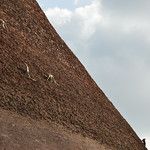 Sri Lanka - Anurâdhapura