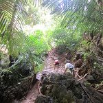 Railay, le petit Avatar