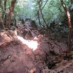 Railay, le petit Avatar
