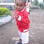 Road trip sur les cratères du Bromo et du Kawah Ijen