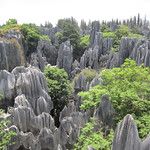 Shilin, la forêt de pierres