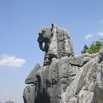 Shilin, la forêt de pierres