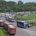 Sri Lanka - Transport - Bus