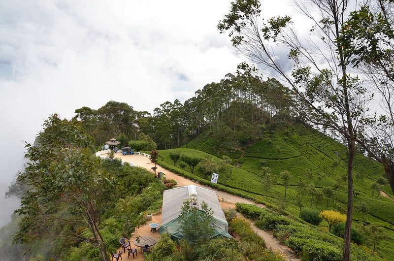 Haputale et les magnifiques plantations de thé