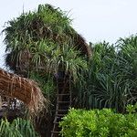 Sri Lanka - Tangalle