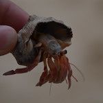 Sri Lanka - Tangalle