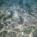 Une semaine de farniente sur l'île de Perhentian, en Malaisie