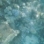 Une semaine de farniente sur l'île de Perhentian, en Malaisie