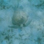 Une semaine de farniente sur l'île de Perhentian, en Malaisie